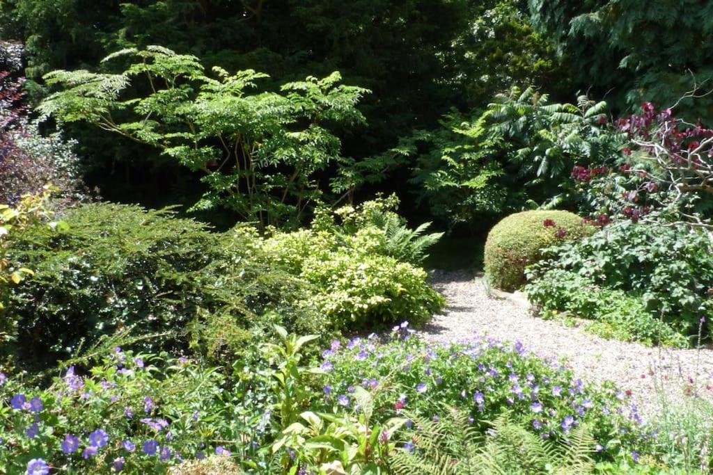 Kwerky Cottage North Lydbury 外观 照片
